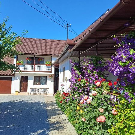 דירות סובאטה Casa Sallai מראה חיצוני תמונה
